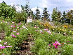 gardenmuseum (13).jpg
